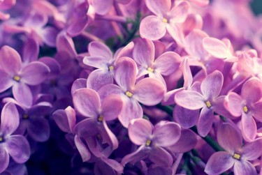 徐州铜山区3企业急用钱贷款攻略：快速融资解燃眉之急